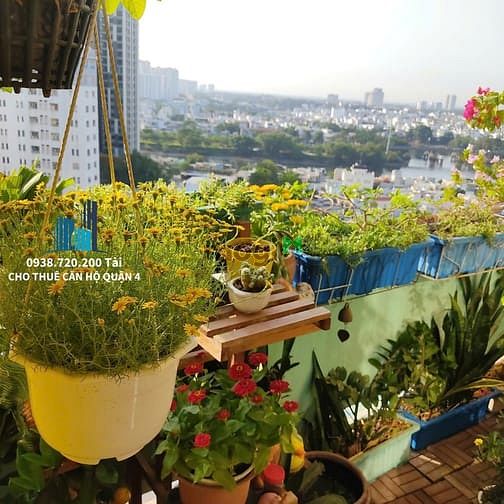 Căn hộ Vạn Đô Quận 4 50m² giá 10.5 triệu - Full nội thất sang trọng!