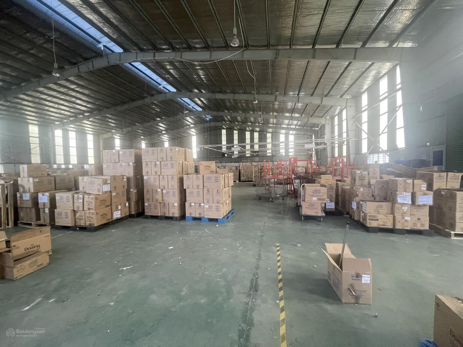 Cho thuê kho xưởng 6000m² giá 250 triệu - Cơ hội đầu tư hấp dẫn!