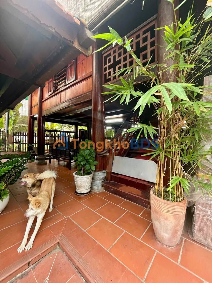 Nhà gỗ sân vườn 624m² tại KDC Hưng Phú - Vị trí kinh doanh đắc địa