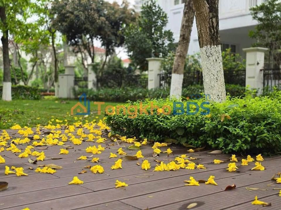 Liền kề Mailand Hanoi City 100m² - Full nội thất
