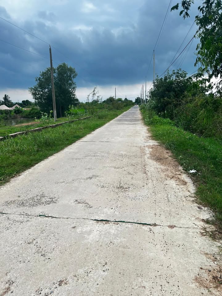 Đất trồng cây lâu năm thôn 6, xã Hàm Chính, 1.339m² giá 700 triệu - Cơ hội đầu tư tuyệt vời!