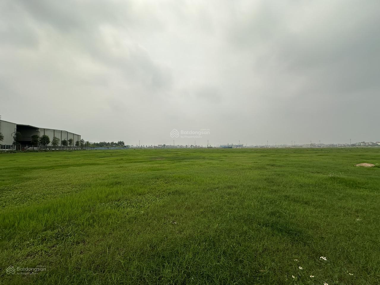 Đất xây dựng 9.800m² lô góc KCN Đại Đồng Hoàn Sơn, Bắc Ninh - Đầu tư sinh lời ngay!