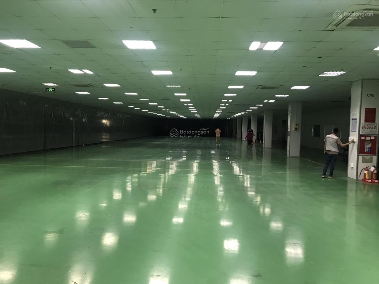 Cho thuê kho, xưởng 2.800m² và 3.900m² tại KCN Đồng Văn 2 - Giá tốt, phù hợp mọi ngành nghề!