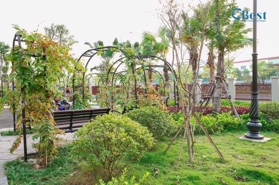 Biệt thự lô góc 200m² tại KĐT Hoàng Mai - Cho thuê giá 65 triệu/tháng