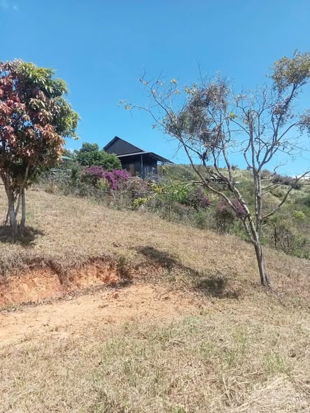 Đất thổ cư Thôn 6 Đạ Sa Lạc Dương 4000m² giá 1.4 tỷ - Cơ hội đầu tư tuyệt vời!