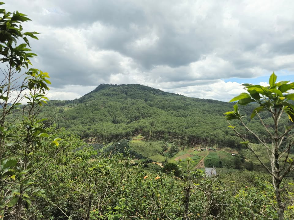 Đất nền Đạ Sa, Lạc Dương 3ha giá 108 tỷ - Cơ hội đầu tư tuyệt vời!