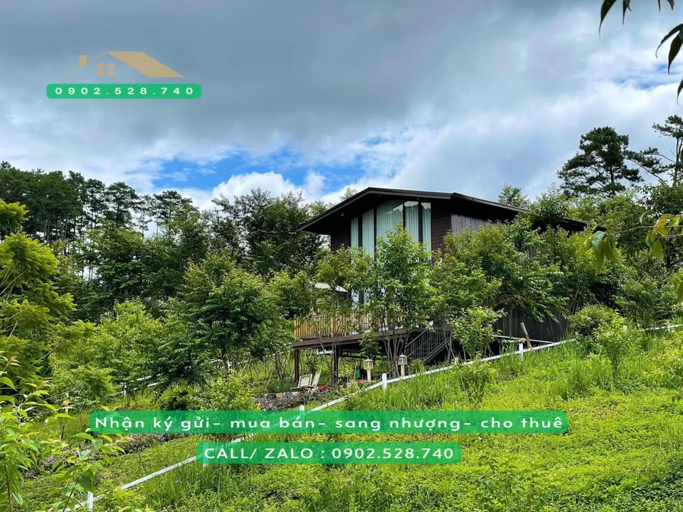 Đất nghỉ dưỡng 879m² Đẹp tại Đạ Sar, Lạc Dương - Giá chỉ 1.5 tỷ!