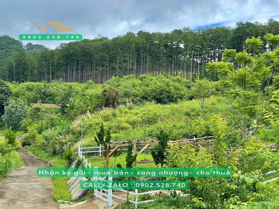 Đất nghỉ dưỡng 879m² Đẹp tại Đạ Sar, Lạc Dương - Giá chỉ 1.5 tỷ!