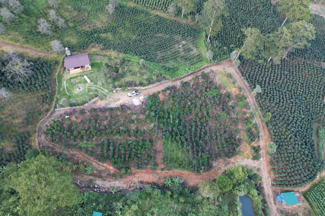 Farm nghỉ dưỡng Đạ Sar 5250m² giá 4.5 tỷ - Đầu tư lý tưởng cho sức khỏe!