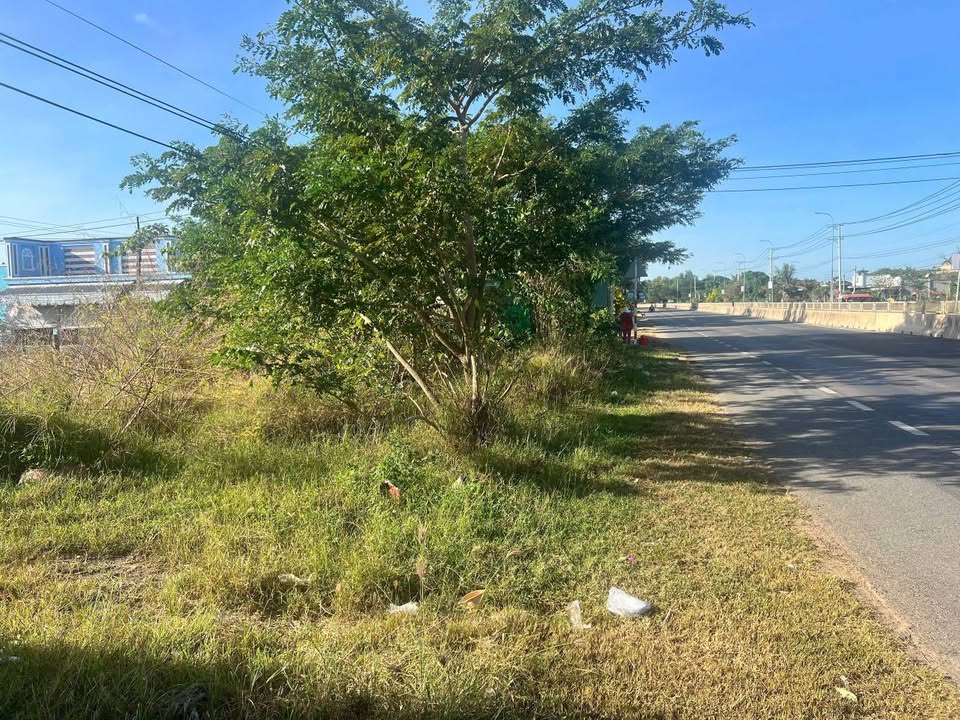 Đất nền 2.800m² Quốc lộ 1A, Bình Tân - Giá 6.5 tỷ - Tiềm năng cao cho đầu tư!