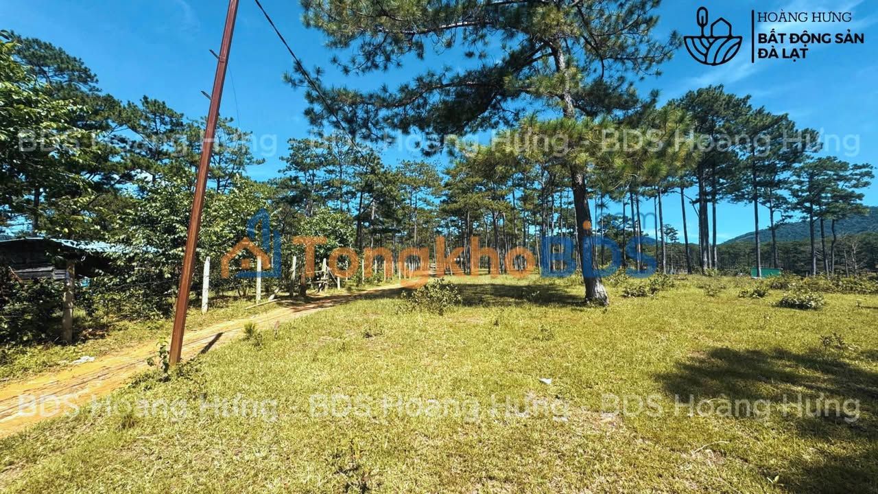 Đất vườn Đạ Nhim 1ha chỉ 3.95 tỷ - Nghỉ dưỡng lý tưởng