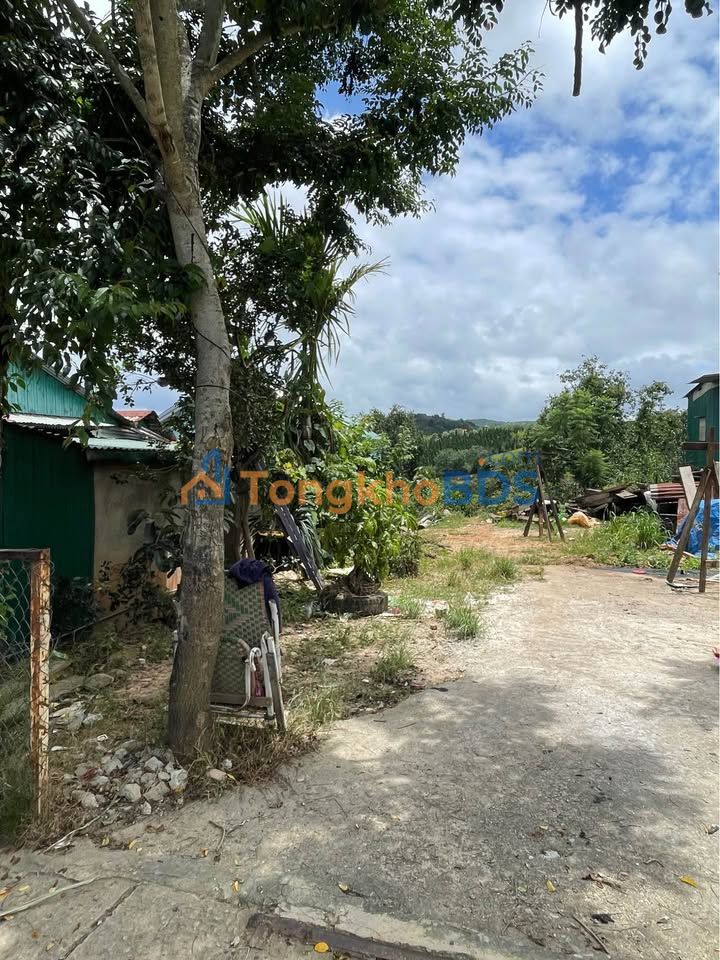 Đất nền Đạ Nhim 1000m² giá 2.25 tỷ - Sổ hồng riêng