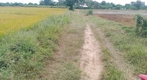 Đất nền xã Hồng Thái, huyện Bắc Bình, 1.600m² - Đường ô tô, giá thỏa thuận!