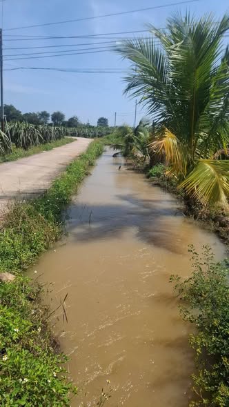 Đất vườn thanh long Xã Hàm Hiệp 612m² giá thỏa thuận - Đầu tư sinh lời ngay!