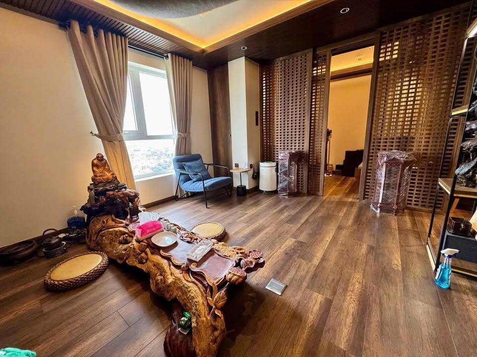 Căn hộ Terra Royal Q3 58m2 - Full nội thất cao cấp