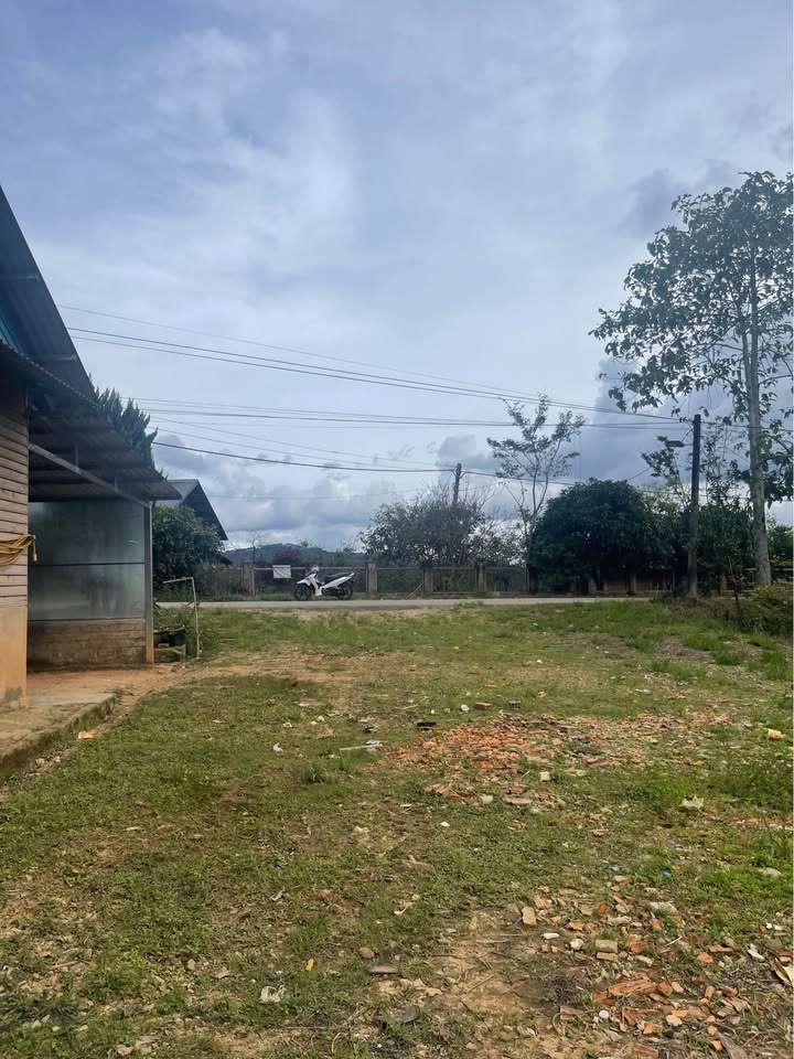 Đất nền Đạ Nhim Lạc Dương 2000m² - Pháp lý rõ ràng