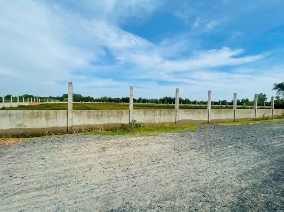 Đất vườn An Phú Củ Chi 1.2ha - Nghỉ dưỡng lý tưởng