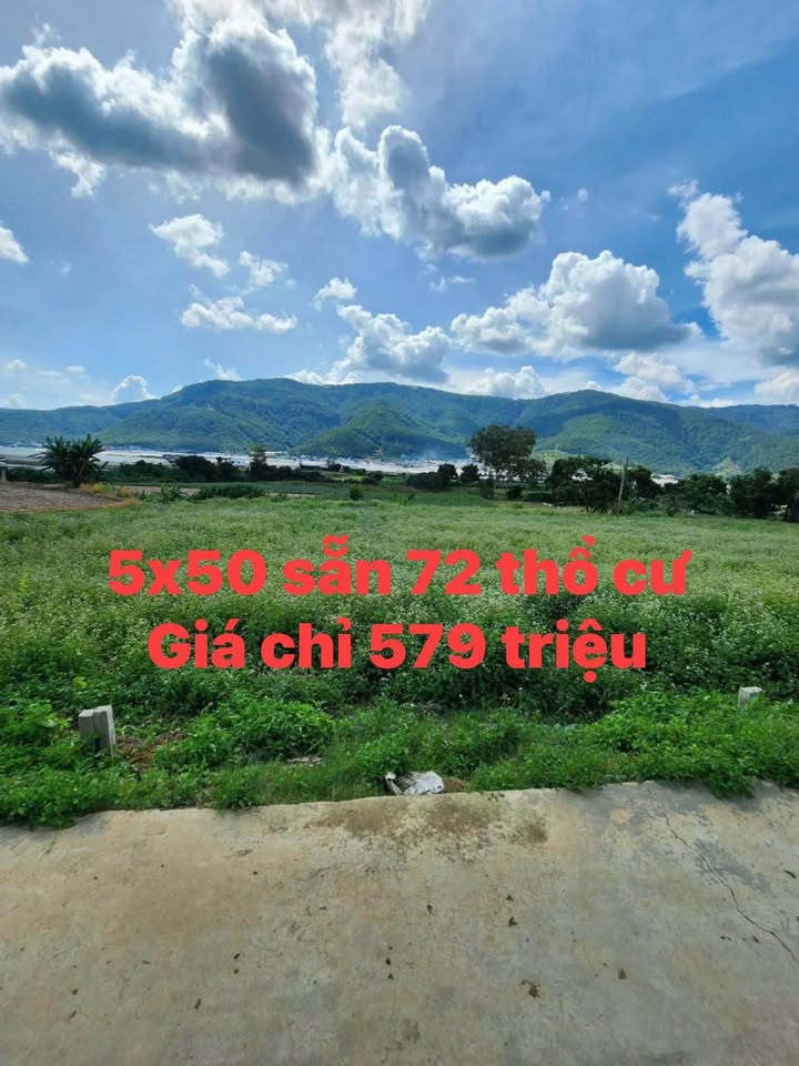 Đất Nền Lạc Xuân, Đơn Dương - 300m² - 579 Triệu - Sổ Đỏ Thổ Cư