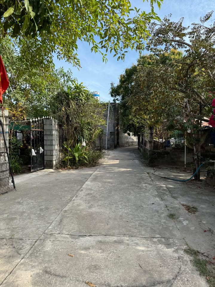 Đất Nền La Gi 106m² Sổ Hồng Riêng - Hẻm Ô Tô Thông Thoáng