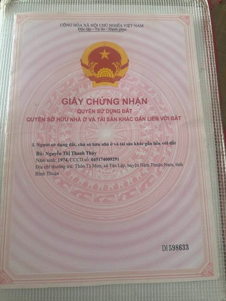 Đất Nền 314m² Xã Tân Lập, Hàm Thuận Nam - Giá 450 Triệu Chính Chủ