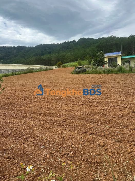 Đất vườn Lạc Xuân Đơn Dương 972m² 2.1 tỷ - Sổ hồng chính chủ