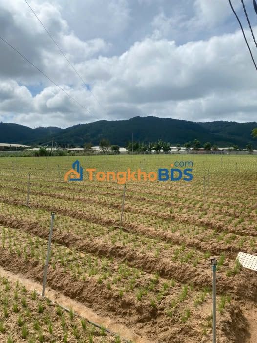 Đất vườn Lạc Xuân 1800m² giá dưới 2 tỷ - Sinh thái xanh