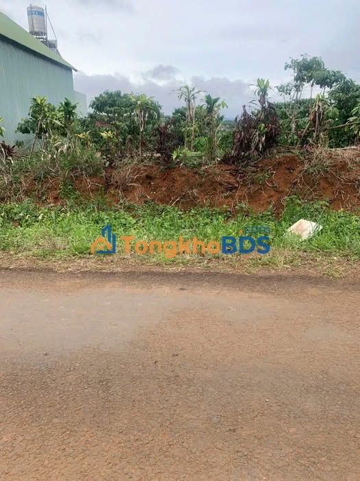 Đất nền mặt tiền Tản Đà Đạm Bri 2629m² - Tiềm năng tăng giá