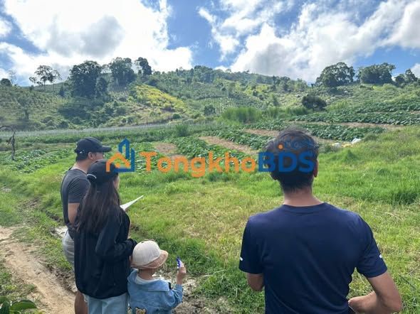 Đất thổ cư Đạ Ròn Đơn Dương 3.759m² - Pháp lý rõ ràng