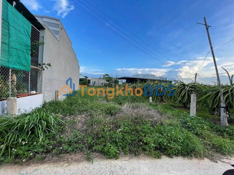 Đất Thổ Cư Xã Bình An 125m² - Sổ Đỏ Chính Chủ, Gần Chợ