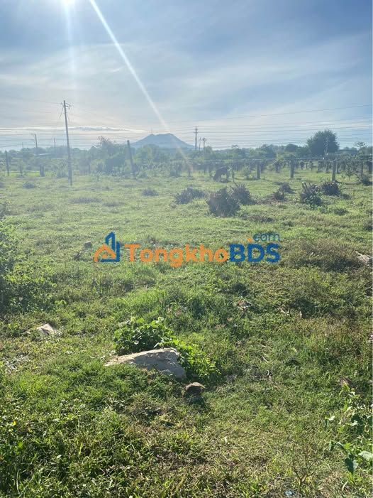 Đất vườn Ma Lâm 1790m² giá 1.3425 tỷ - Nghỉ dưỡng lý tưởng