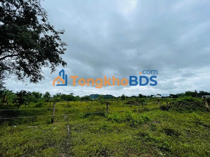 Đất vườn Ma Lâm 1790m² - Nghỉ dưỡng lý tưởng, đầu tư dài hạn