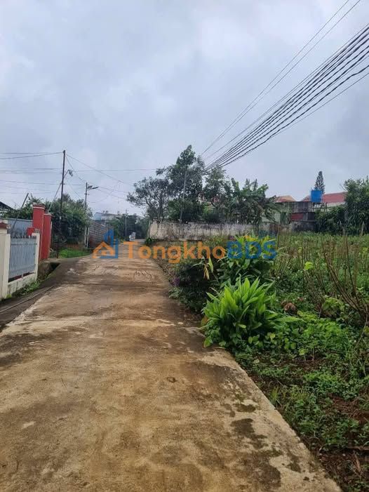 Đất thổ cư Đạm Bri Bảo Lộc 228m² 1.55 tỷ - Sổ đỏ chính chủ