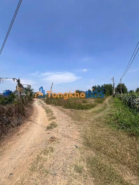 Đất vườn Hàm Kiệm 2.800m² giá 1.4 tỷ - Nghỉ dưỡng lý tưởng