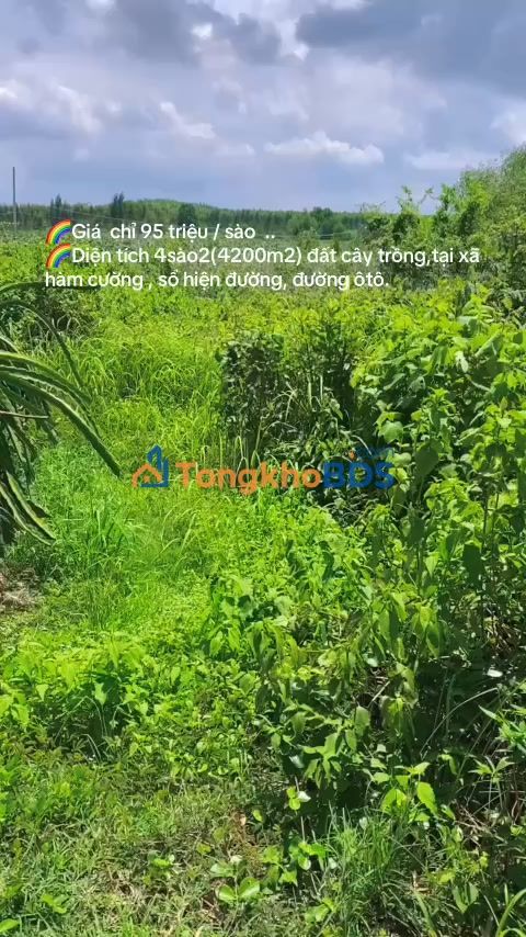 Đất vườn Hàm Cường 4.200m² giá 399 triệu - Giá đầu tư tốt