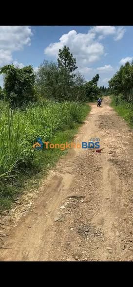 Đất vườn Hàm Cường 4.200m² giá 395 triệu - Giá đầu tư tốt