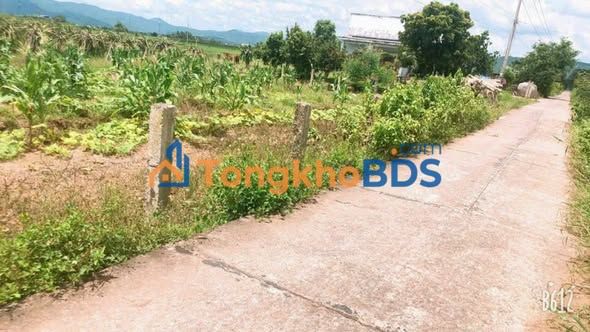 Đất thổ cư Hàm Trí 200m² 330 triệu - Tiềm năng tăng giá