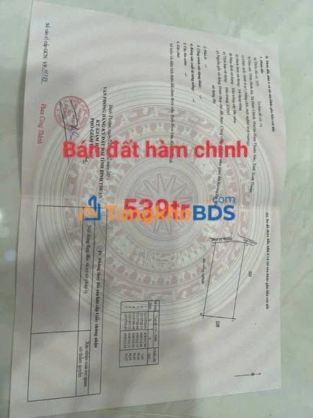 Đất vườn Bình An Bắc Bình 1.000m² giá 539 triệu - Sổ đỏ chính chủ
