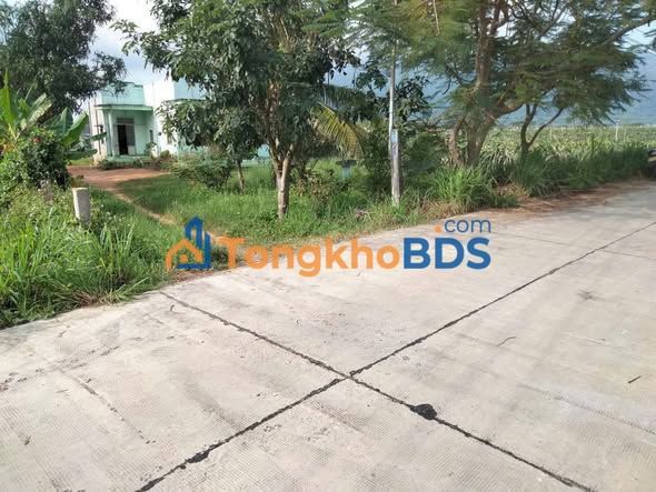 Nhà vườn Hàm Thuận Nam 950m² giá 790 triệu - Sổ hồng sẵn