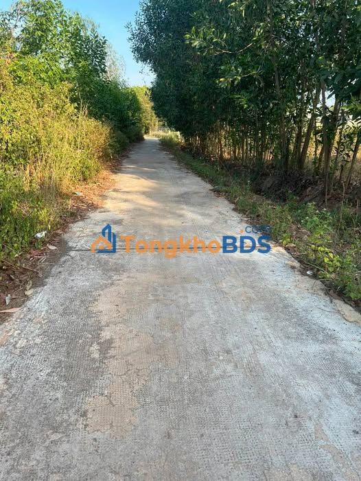 Đất thổ cư Ấp Suối Binh 890m² - Xây dựng tự do giá tốt