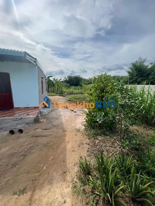 Đất nền Tiến Lợi Phan Thiết 100m² 300 triệu - Đường to ô tô