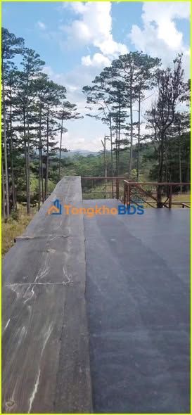 Đất vườn Lạc Dương 2,8ha giá 9 tỷ - Đầu tư dài hạn