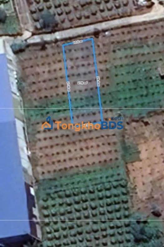 Đất nền Minh Hoà Hàm Minh 280m² giá 550 triệu - Giá đầu tư tốt