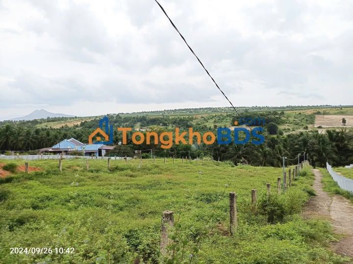 Đất vườn Hàm Đức 3841m² giá 7 tỷ - Sinh thái xanh