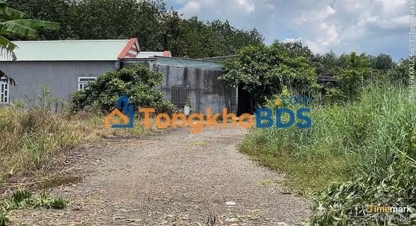 Đất thổ cư Tân Phú 198m² giá 185 triệu - Xây dựng tự do