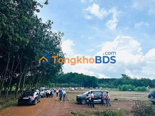 Đất nền Tân Phú Bình Phước 180m² giá hơn 200 triệu - Pháp lý rõ ràng