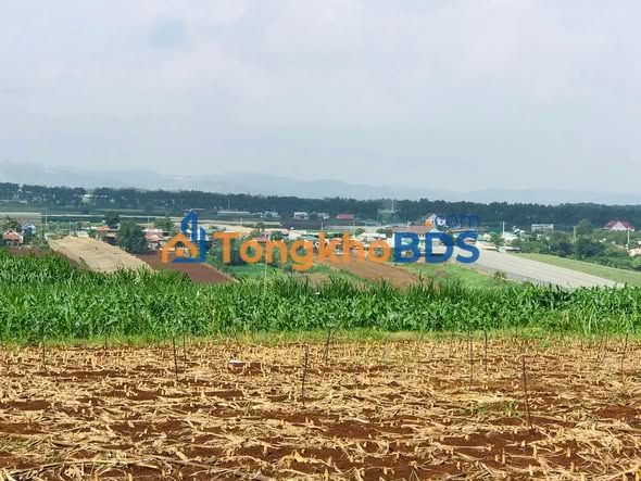 Đất nền Đạ Ròn Đơn Dương 176m² - Đường to ô tô