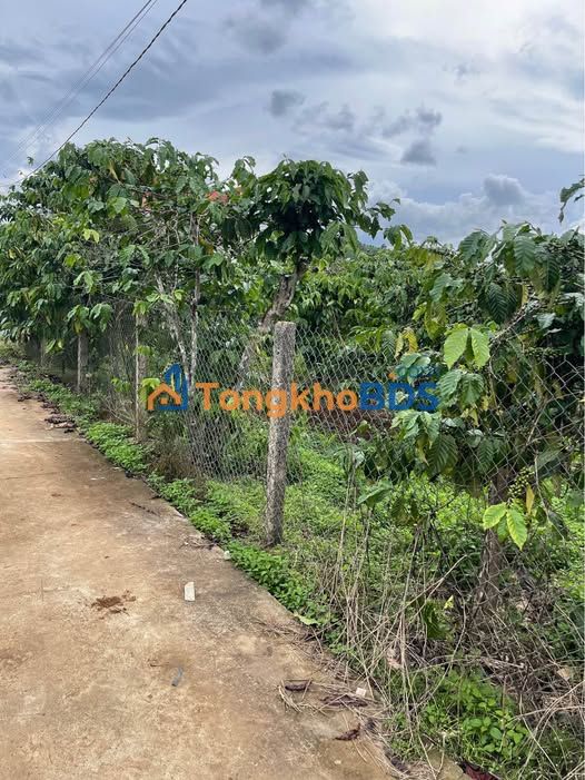 Đất nền Phi Tô Lâm Hà 702m² - Sổ đỏ chính chủ