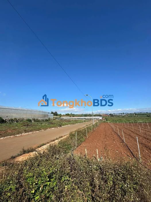 Đất nền Đạ Ròn 130m² 590 triệu - Hạ tầng hoàn thiện