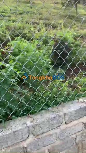 Đất vườn Đạm Bri Bảo Lộc 1980m² - Nghỉ dưỡng lý tưởng