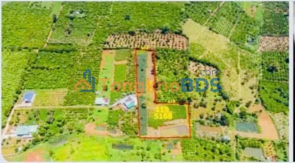 Đất vườn Đạm Bri Bảo Lộc 5168m² - Nghỉ dưỡng lý tưởng